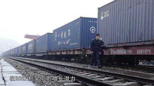中国首趟开往rcep成员国的跨境货运班列从凭祥铁路口岸出境