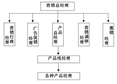画出服装企业的营销组织结构--产品管理型组织结构的结构表