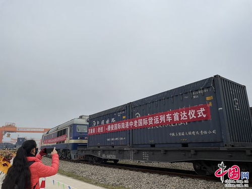 腾俊国际陆港中老国际货运列车首次抵达昆明晋宁