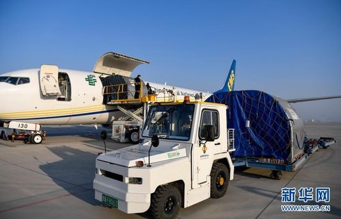 邮航首开 银川 南京 特色农产品货运航线